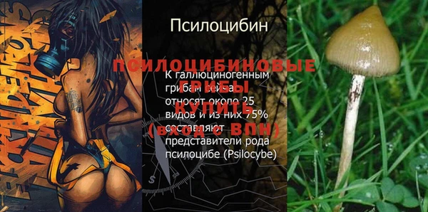 кристаллы Куйбышев