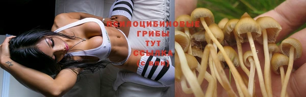 прущие крисы Кукмор