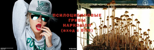 прущие крисы Кукмор