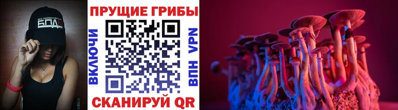 Псилоцибиновые грибы мухоморы Сухиничи